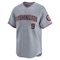 Gray Cade Cavalli Youth Washington Nationals Road Jersey - Limited